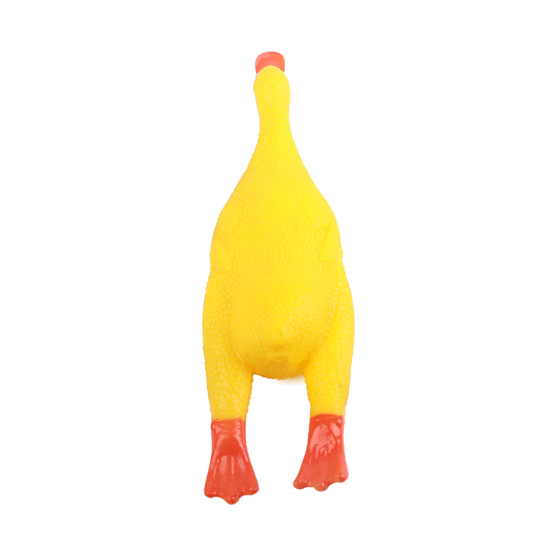 XY66